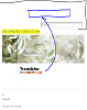 Click image for larger version

Name:	header modify.PNG
Views:	4325
Size:	174.2 KB
ID:	352